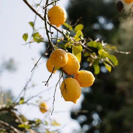Gasthuis Capo Santa Fortunata Sorrento