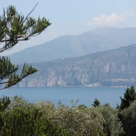 Capo Santa Fortunata Guest house 3*