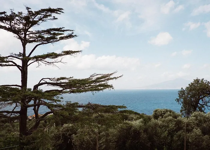 Capo Santa Fortunata بيت ضيافة سورينتو