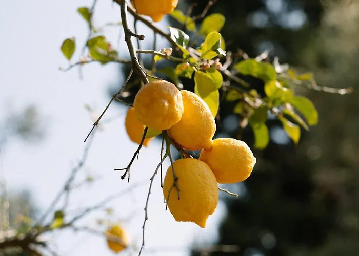 Pensión Capo Santa Fortunata Península Sorrentina